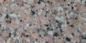 ������. China Rosa Porrino