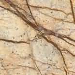 ������. Bidasar Brown