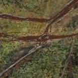 ������. Bidasar Green