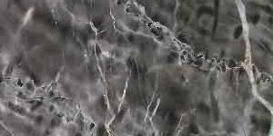 ������. Dark Mystic