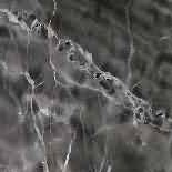 ������. Dark Mystic