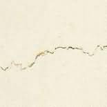 ������. Bianco Perlino (Bianconi)