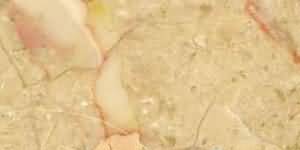 ������. Rosalia Light