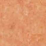 ������. Rosa Perlino (Perlino Rosato)