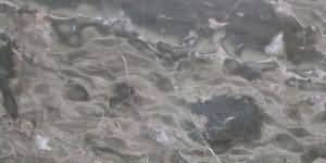 ������. Portora Brown