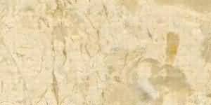 ������. Crema Nova Extra