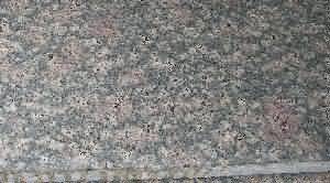 ����. Bala Flower