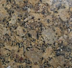 ����. Brandi Ellou