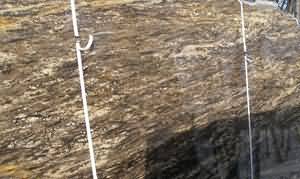 ����. Golden Tyunder Saturnia