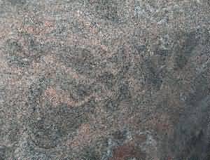 ����. Himalayan Blue