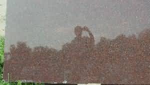 ����. New Imperial Red