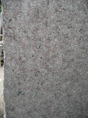 ����. Levadia