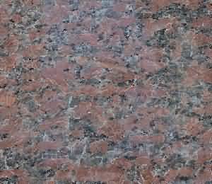 ����. Red Maple