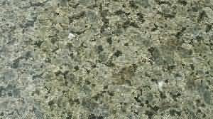 ����. Cindy Green