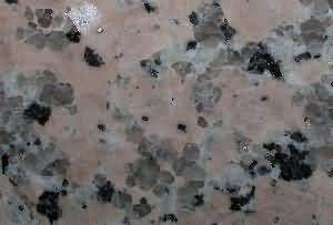 ����. China Rosa Porrino