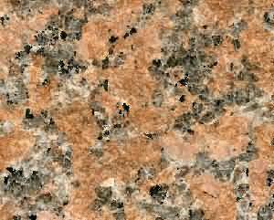 ����. Red Maple