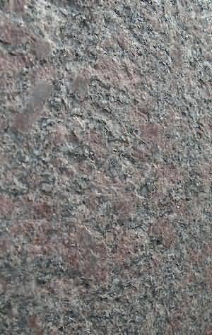 ����. Tumkur Red