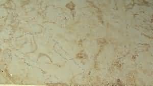 ����. Cream Royal Antique