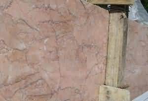 ����. Rosa Valencia (Rosa Spring)