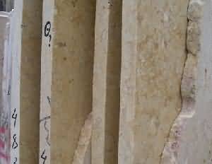 ����. Sunny Dark