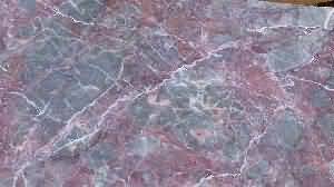 ����. Solomeya