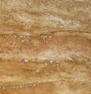 ����. Travertine Gold