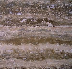 ����. Travertine Volnut