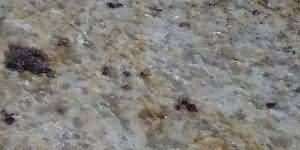 ������. Kashmir Gold