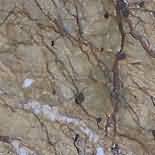 ������. Bidasar Gold