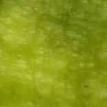 ������. Verde Jade