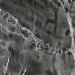 ������. Dark Mystic