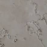 ������. Rosa Perlino (Perlino Rosato)