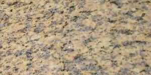 ������. Tiger Skin Ello