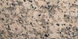 ������. Ellou Panther