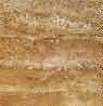 Travertine Gold